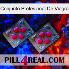 Viagra Professional Set 14